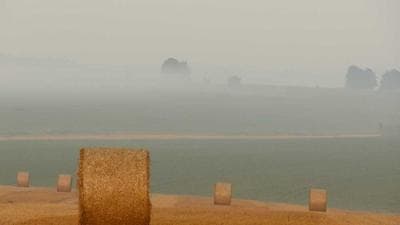 เงามรณะ